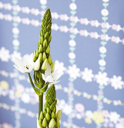 обои синие с цветами 359031  - 2