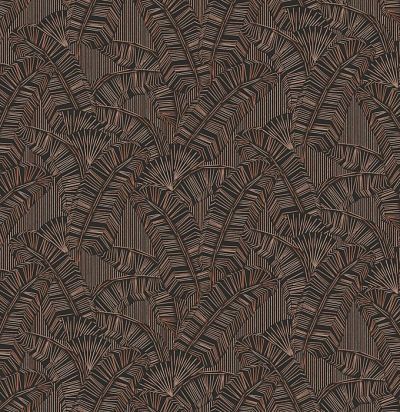 Растения AMA403 Khroma