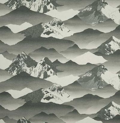 Французская ткань 10632.23 Yosemite Noir Nobilis