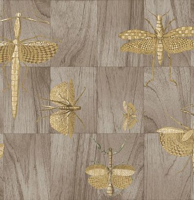 обои дизайнерские с насекомыми 42002 ARTE