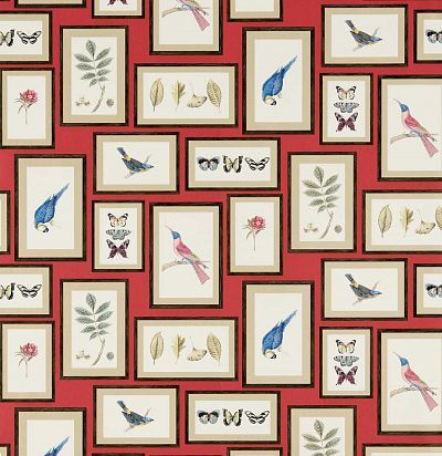 обои современные дизайн  птицы и бабочки 213398 Sanderson