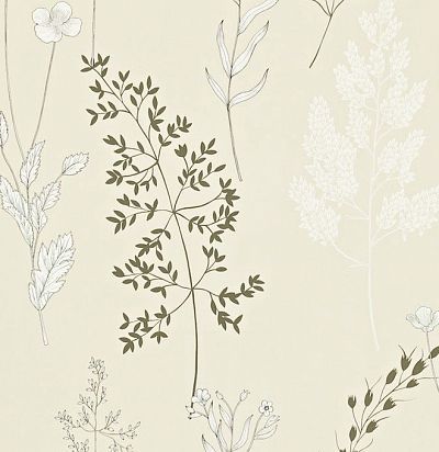 бежевые дизайнерские обои 212861 Sanderson