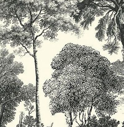 Панно ЛЕС имитация гравюры DG2SAL1012 Khroma