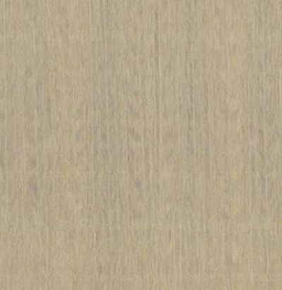 обои однотонные золотистые 23503 ARTE