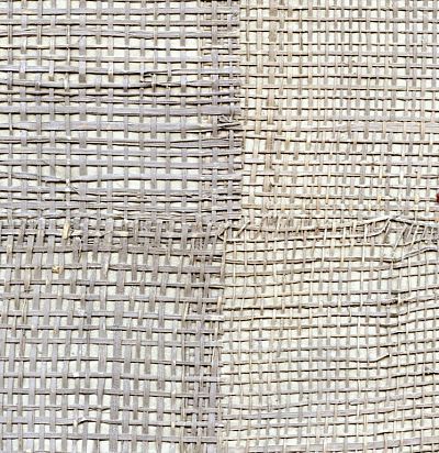 RM66612 Pachira Sous les figuires Метражные обои 