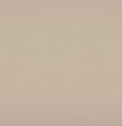 39171078 BROOKS MASTIC  Французская ткань 