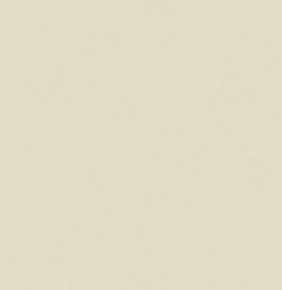 Обои супермоющиеся иммитация краски BLONE 1007 Khroma