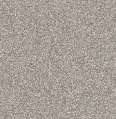 Обои имитация слоновьей шкуры 300512  - 1