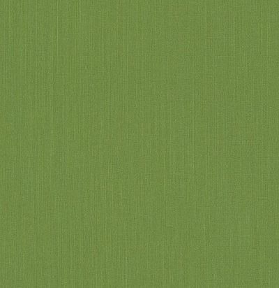обои травянистого цвета 077192 Rasch Textil