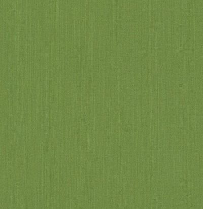 обои травянистого цвета 077192 Rasch Textil