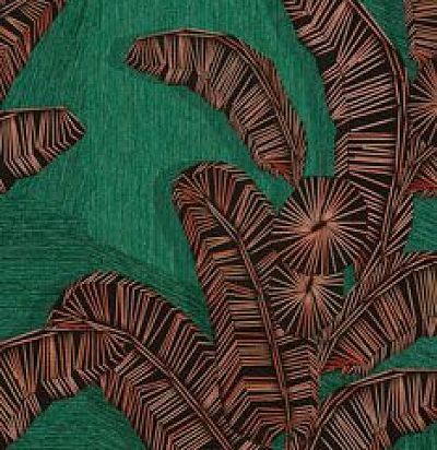 Растения DGAMA2022-260 Khroma