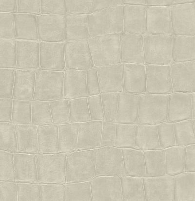 VP42303 Big Croco Sans limites ! Рулонные обои 