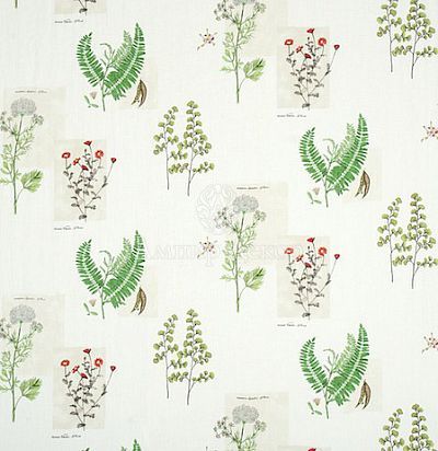 Ткань с растительным рисунком DPFPPF-201 Sanderson