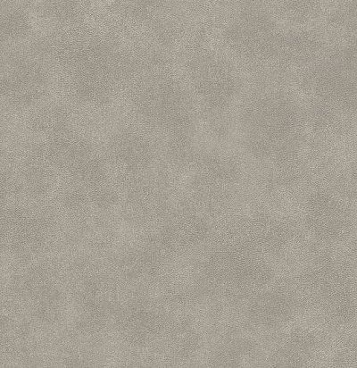 обои серые матовые 372515 