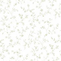 Фото: обои с цветами G67316- Ампир Декор