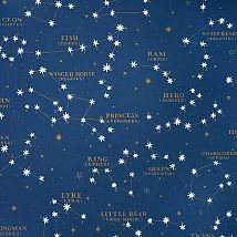 Фото: Обои звездное небо PLWP-62192- Ампир Декор