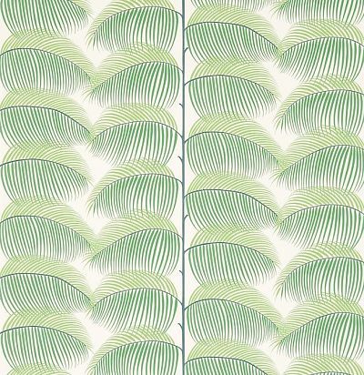 обои с листьями пальмы 213367 Sanderson