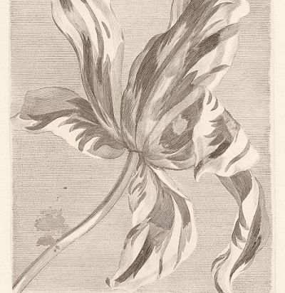 панно серое с тюльпаном 358117 