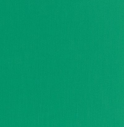 яркая негорючая ткань Wasabi CS 11 