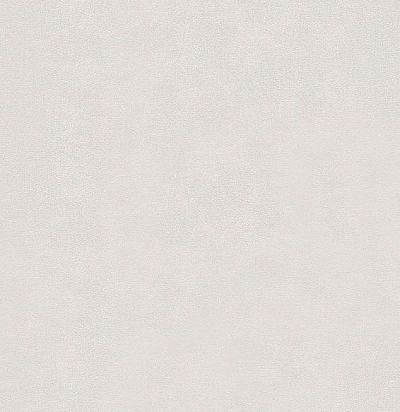 обои светлые однотонные 372503 