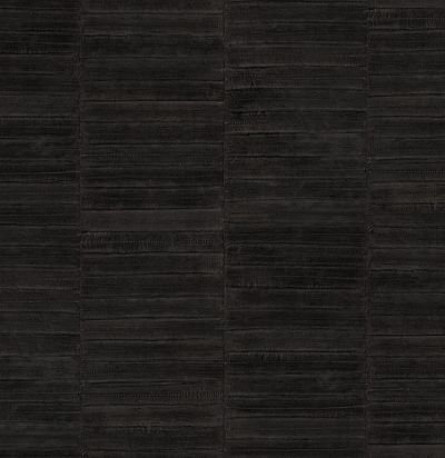 VP42415 Anguille Ultra chic ! Обои из Франции 