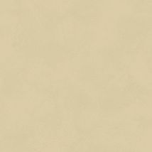 Фото: Обои матовые с иммитацией штукатурки BLONE1008- Ампир Декор