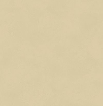 Обои матовые с иммитацией штукатурки BLONE1008 Khroma