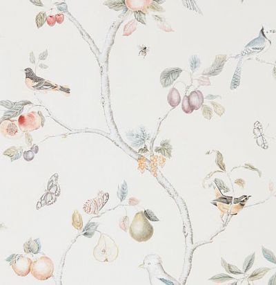 обои английские с птицами 216314 Sanderson