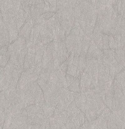 Обои текстурные SOP3103 Omexco