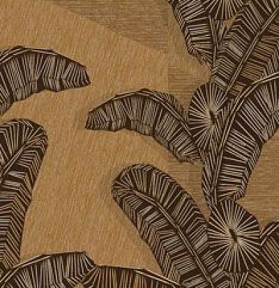 Растения DGAMA2011-260 Khroma