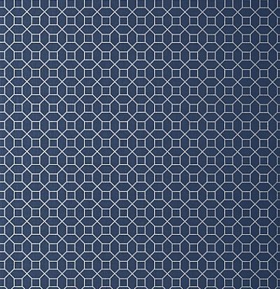 Обои Thibaut Geometric Resource 2 T11027 Farris Silver on Navy 