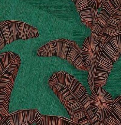 Растения DGAMA2021-260 Khroma