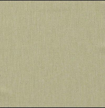 Портьера без узора 10547.72 Nobilis