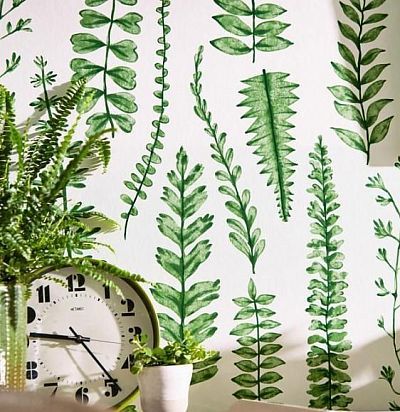 Обои современные с изображением трав и растений 112798 Scion - 1