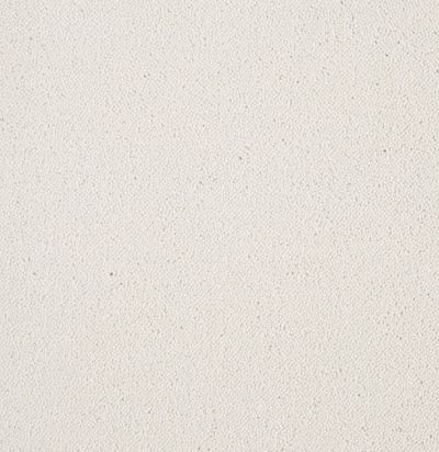 Dream UIO/890 Ковровое покрытие  (4м x 1м) SmartStrand