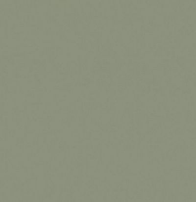 ткань современная однотонная плотная 1301-885 ADO