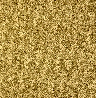 Dream UIO/371 Ковровое покрытие  (5м x 1м) SmartStrand