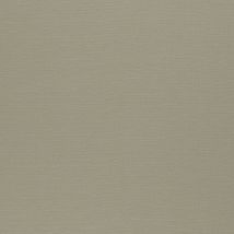 Фото: тюль однотонный Silenzio CS 06- Ампир Декор