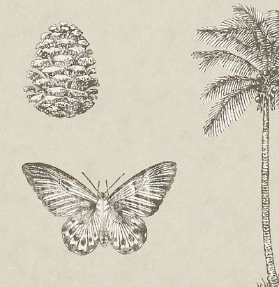 светлые флизелиновые обои 213381 Sanderson