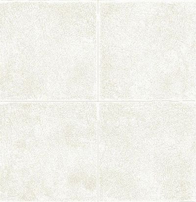 обои однотонные AN311 KT Exclusive