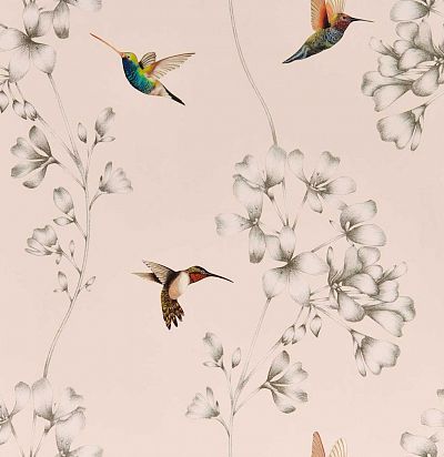 Акцентные обои с колибри  112606 Harlequin