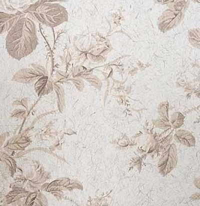 Обои KT Exclusive Naturae 207C05 Noemi Caldera KT Exclusive