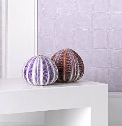 VP42323 Big Croco Aller vers le reve Обои из Франции  - 1