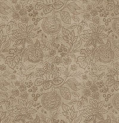 Обивочная ткань с цветочным орнаментом F4012/02 Colefax and Fowler