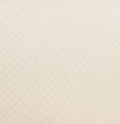 ткань тревира Silenzio CS 02 