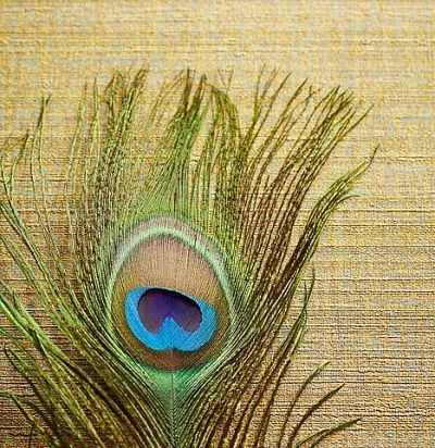 обои однотонные зеленые 358050  - 1