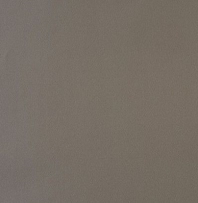 Обои однотонные с блестками ACE 58049000 Caselio