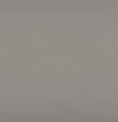 39170485 BROOKS ACIER   Ткань из Франции 