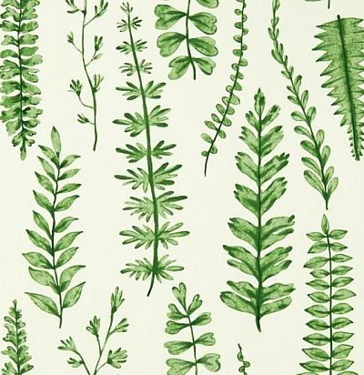 Обои современные с изображением трав и растений 112798 Scion