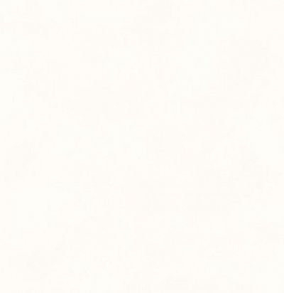 Обои супермоющиеся иммитация краски BLONE 1001 Khroma